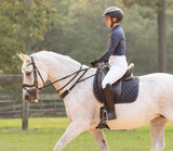 3-in-1 Training Breastplate-The Best Training Aid to help with Balance and Connection
