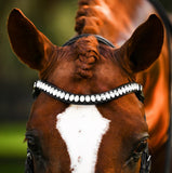 Diva bridle (cavesson)