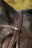 Stubben BRIDLE 2017C