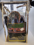 Hairy Pony Luxurious Brush Kit