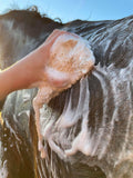 Hairy pony eco friendly shampoo bars