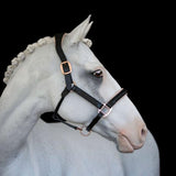 Hollywood leather halter