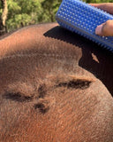 Hairy pony grooming block