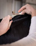 Hairy pony sectioning comb