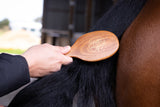 Hairy Pony Luxurious Brush Kit