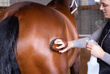 Hairy Pony Luxurious Brush Kit