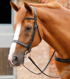 PE Primo Hunter Bridle