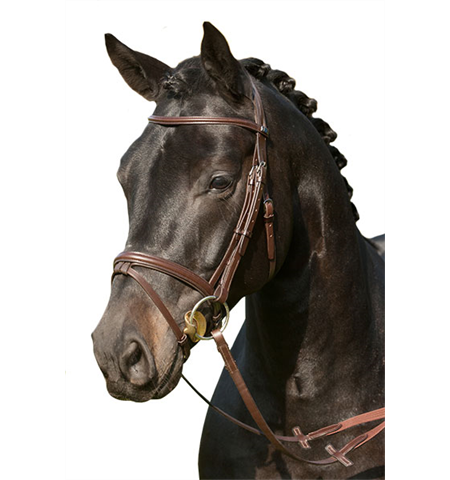 Bridles & Accessories