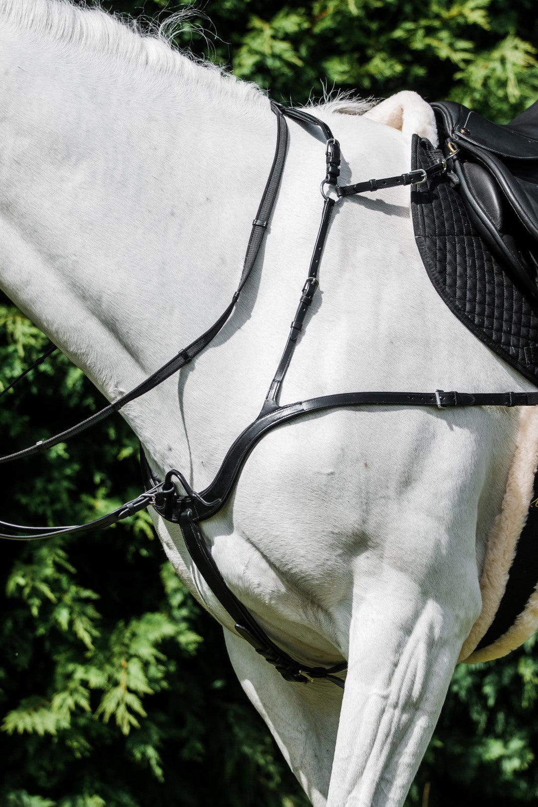 Breastplates & Martingales