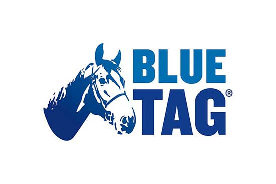 Blue Tag