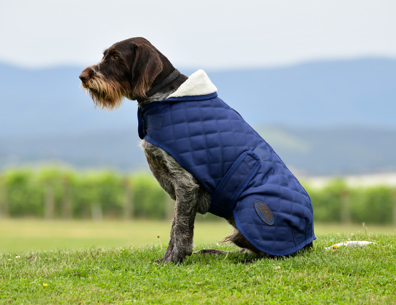 WeatherBeeta ComFiTec Deluxe Diamond Quilt Dog Coat
