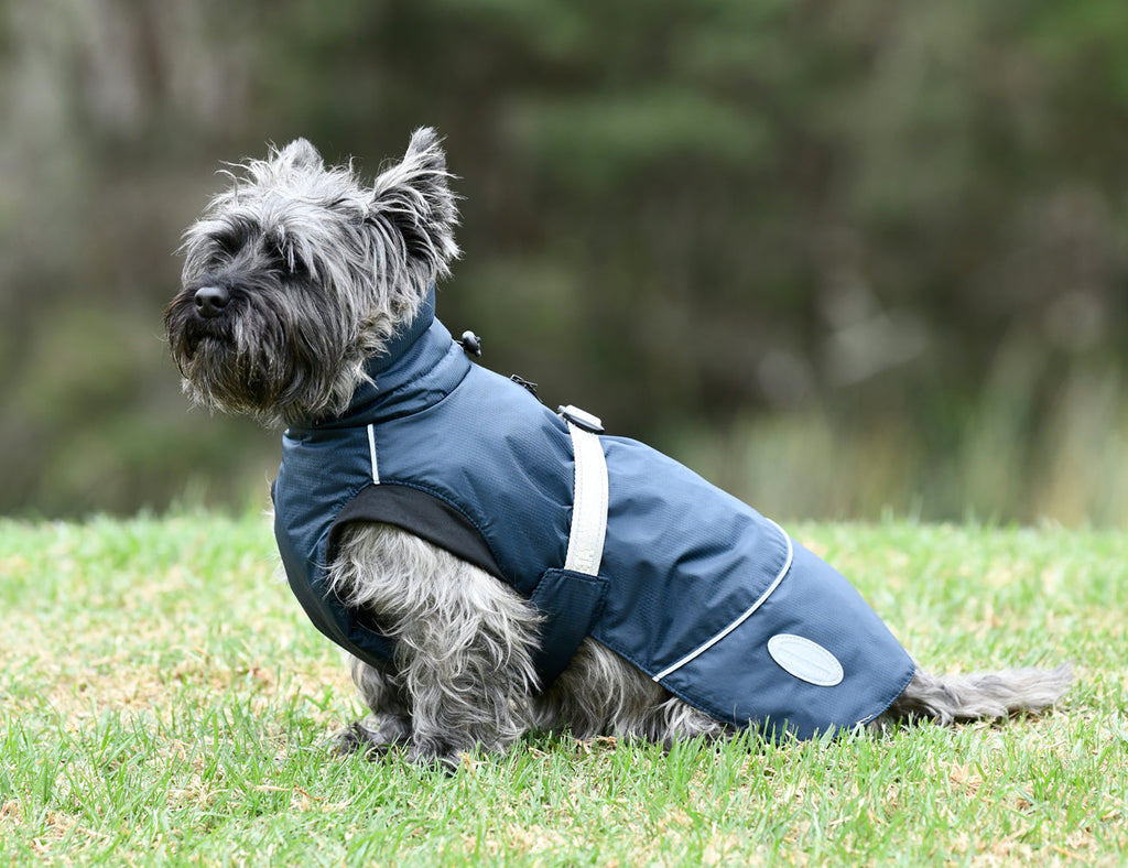 WeatherBeeta Explorer Medium Dog Coat