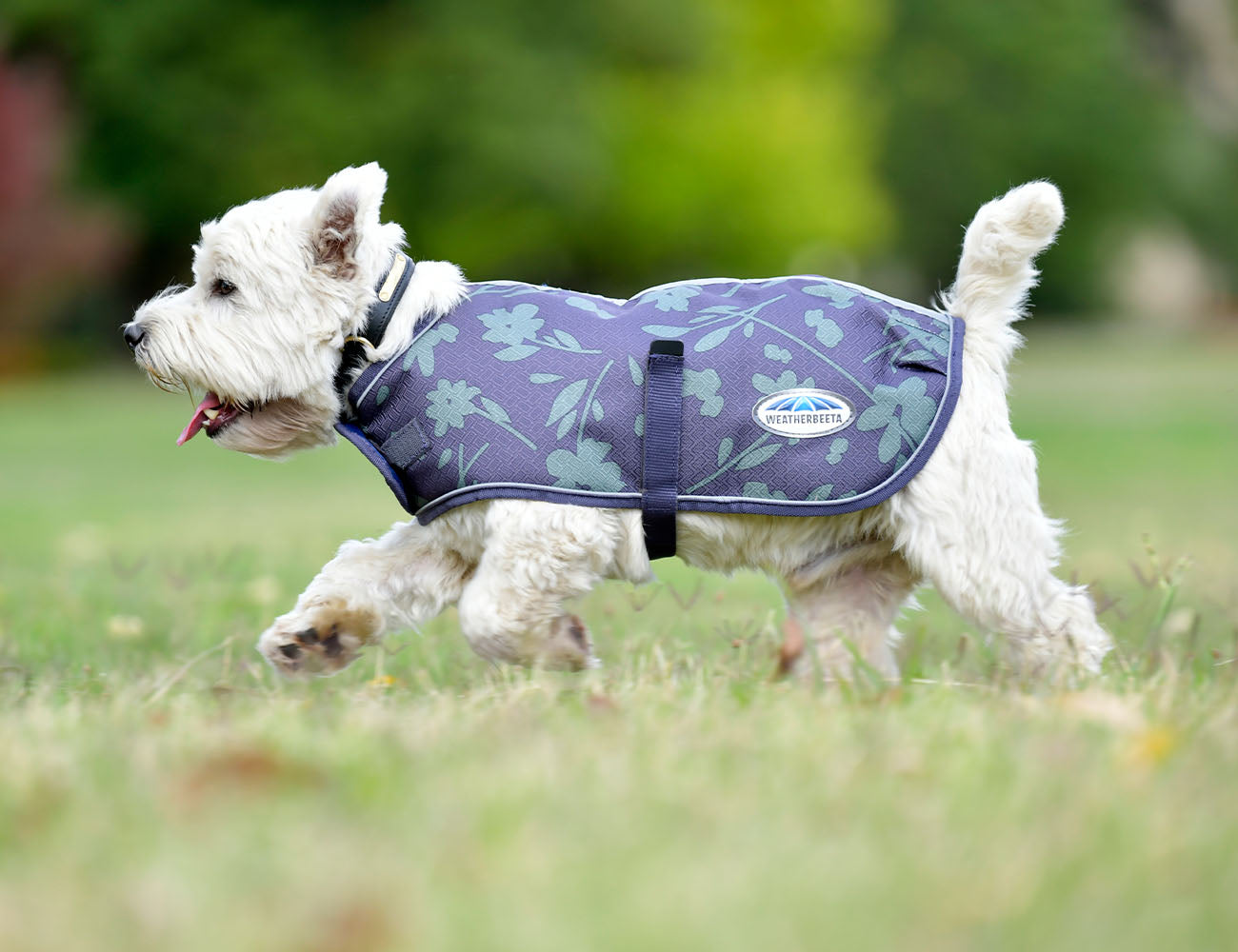 WeatherBeeta ComFiTec Premier Free Parka Dog Coat Medium
