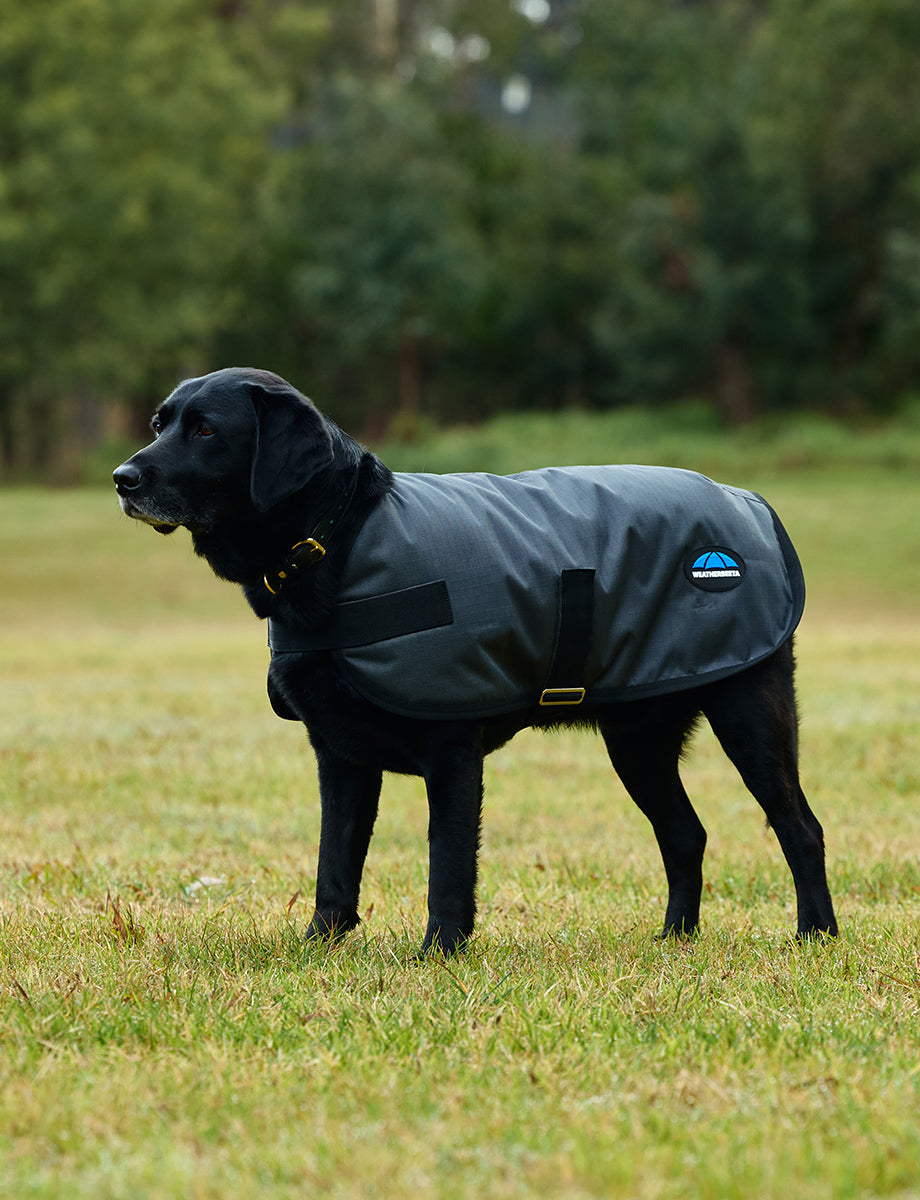 WeatherBeeta ComFiTec Classic Waterproof Dog Coat