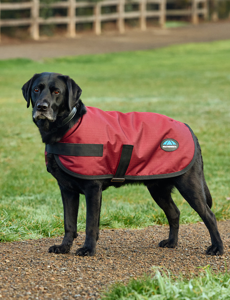 WeatherBeeta ComFiTec Classic Waterproof Dog Coat