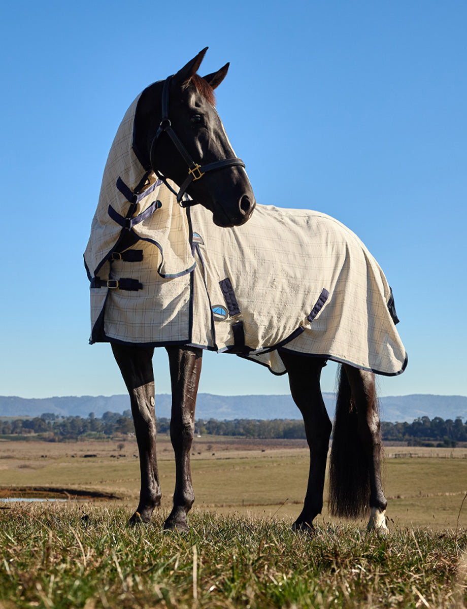 WeatherBeeta Cotton Summer Sheet Lite Combo