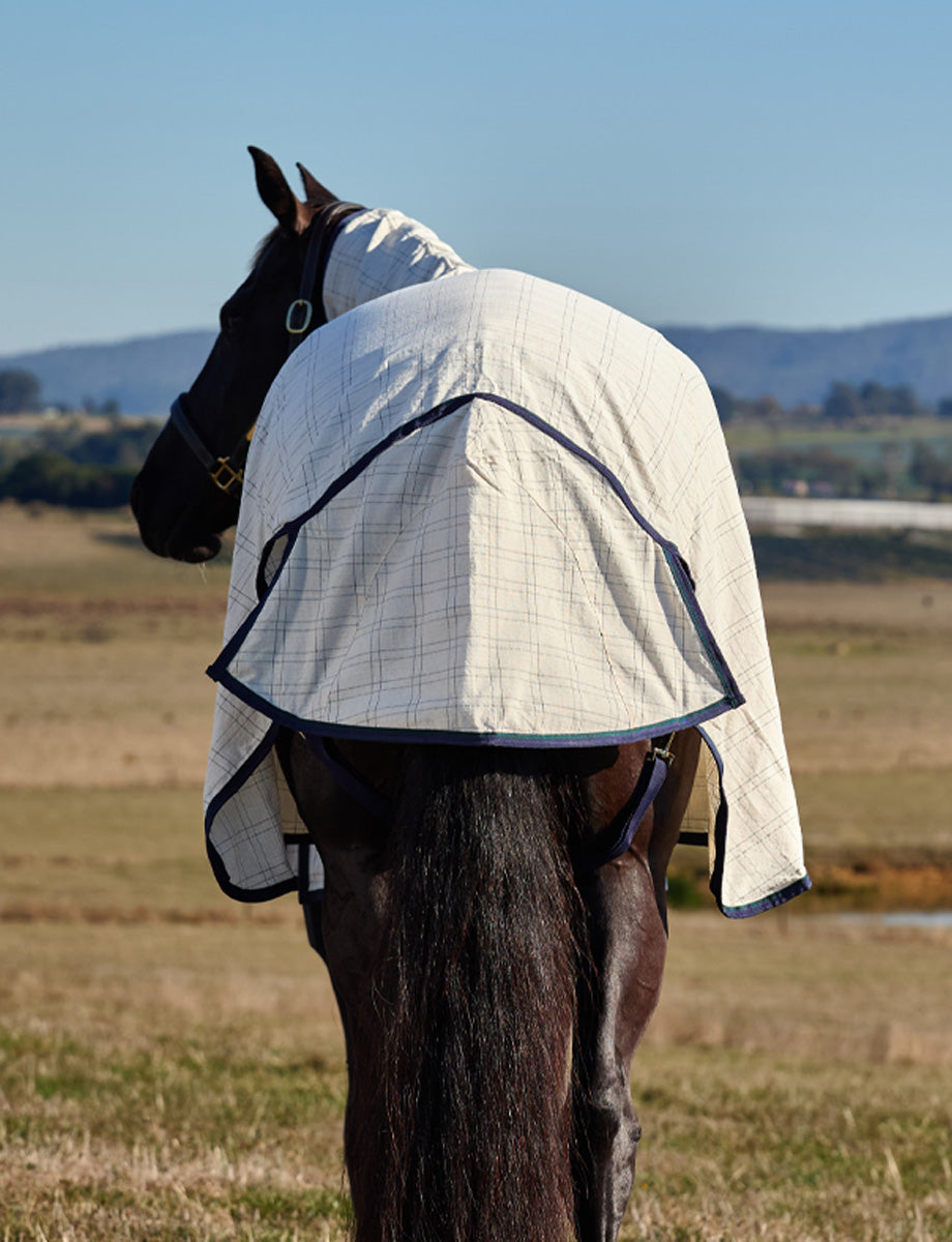 WeatherBeeta Cotton Summer Sheet Lite Combo