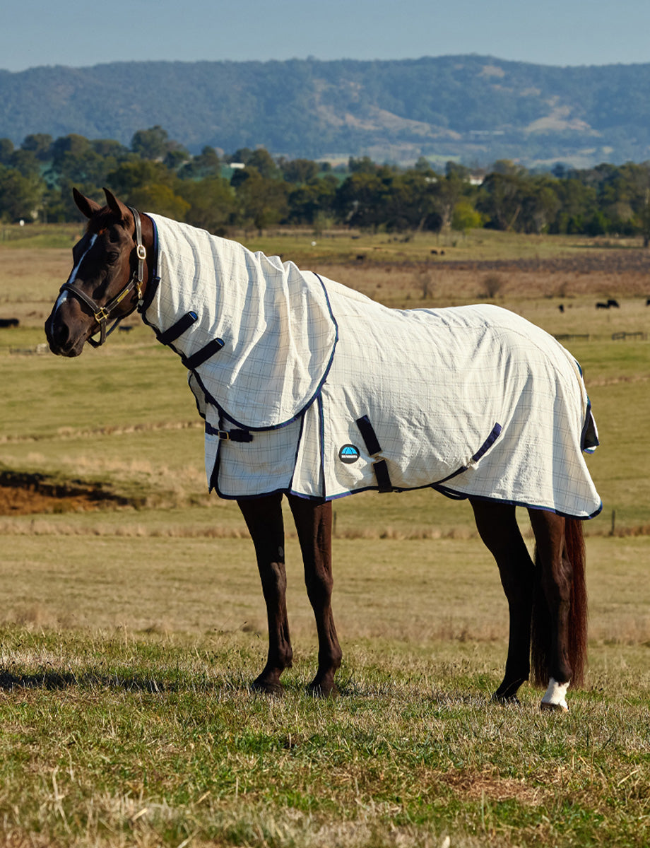 WeatherBeeta Cotton Summer Sheet Lite Combo
