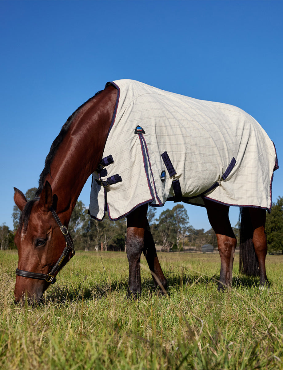 WeatherBeeta Cotton Summer Sheet