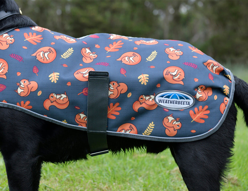 WeatherBeeta ComFiTec Premier Free Parka Dog Coat Medium