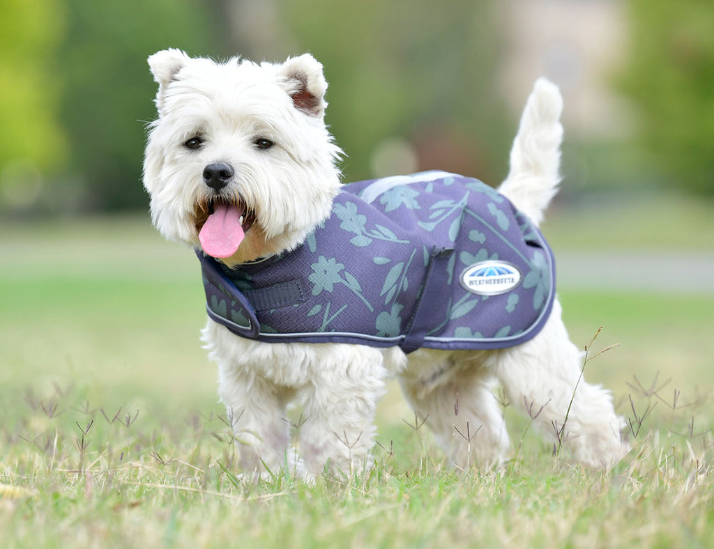 WeatherBeeta ComFiTec Premier Free Parka Dog Coat Medium