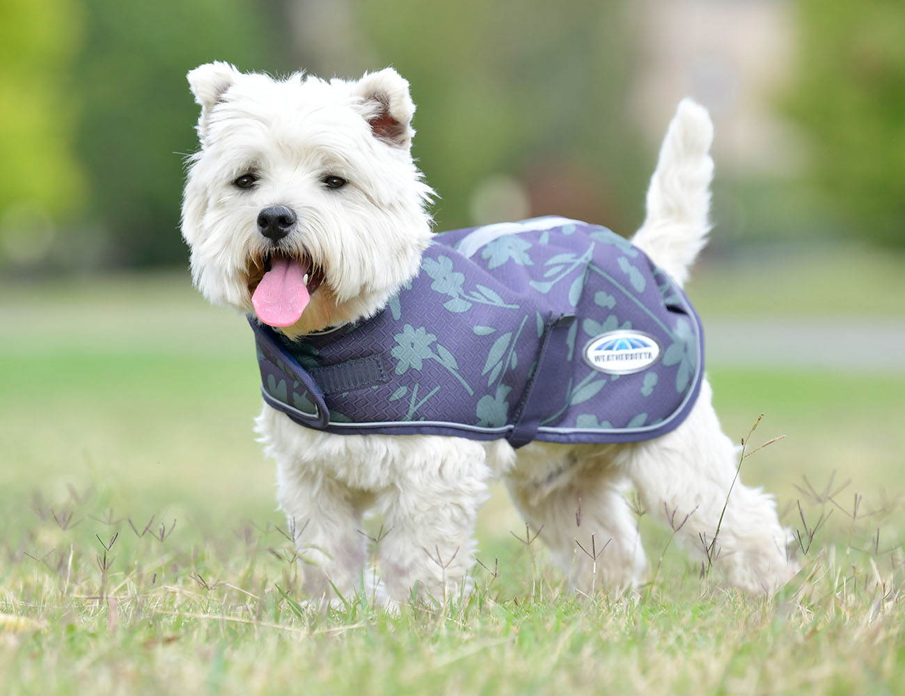WeatherBeeta ComFiTec Premier Free Parka Dog Coat Medium