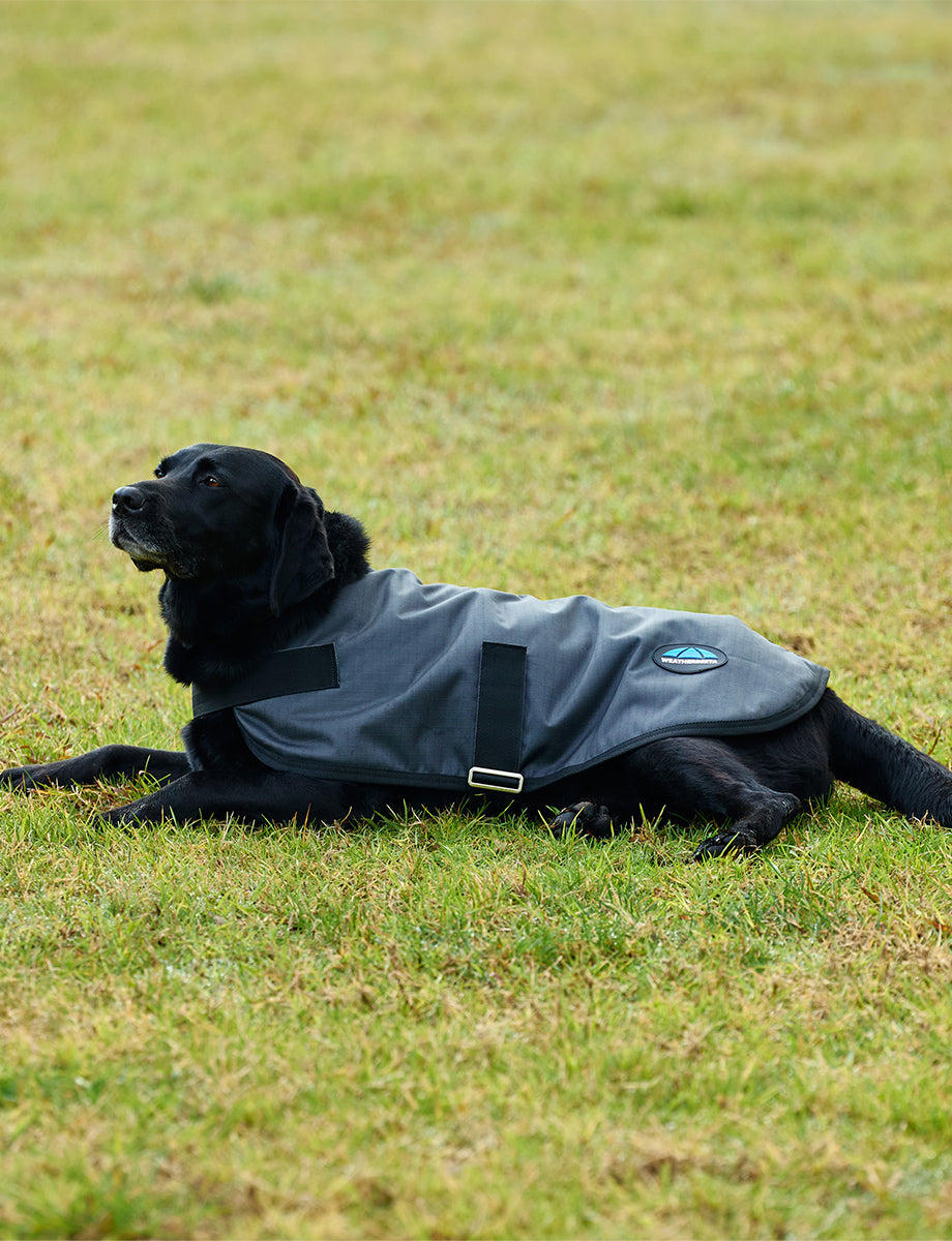 WeatherBeeta ComFiTec Classic Waterproof Dog Coat