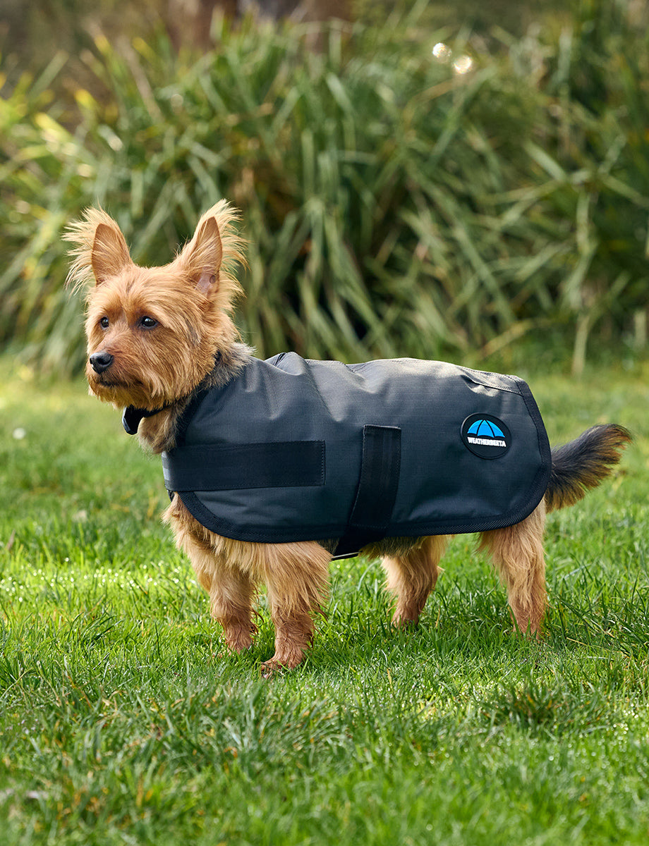 WeatherBeeta ComFiTec Classic Waterproof Dog Coat
