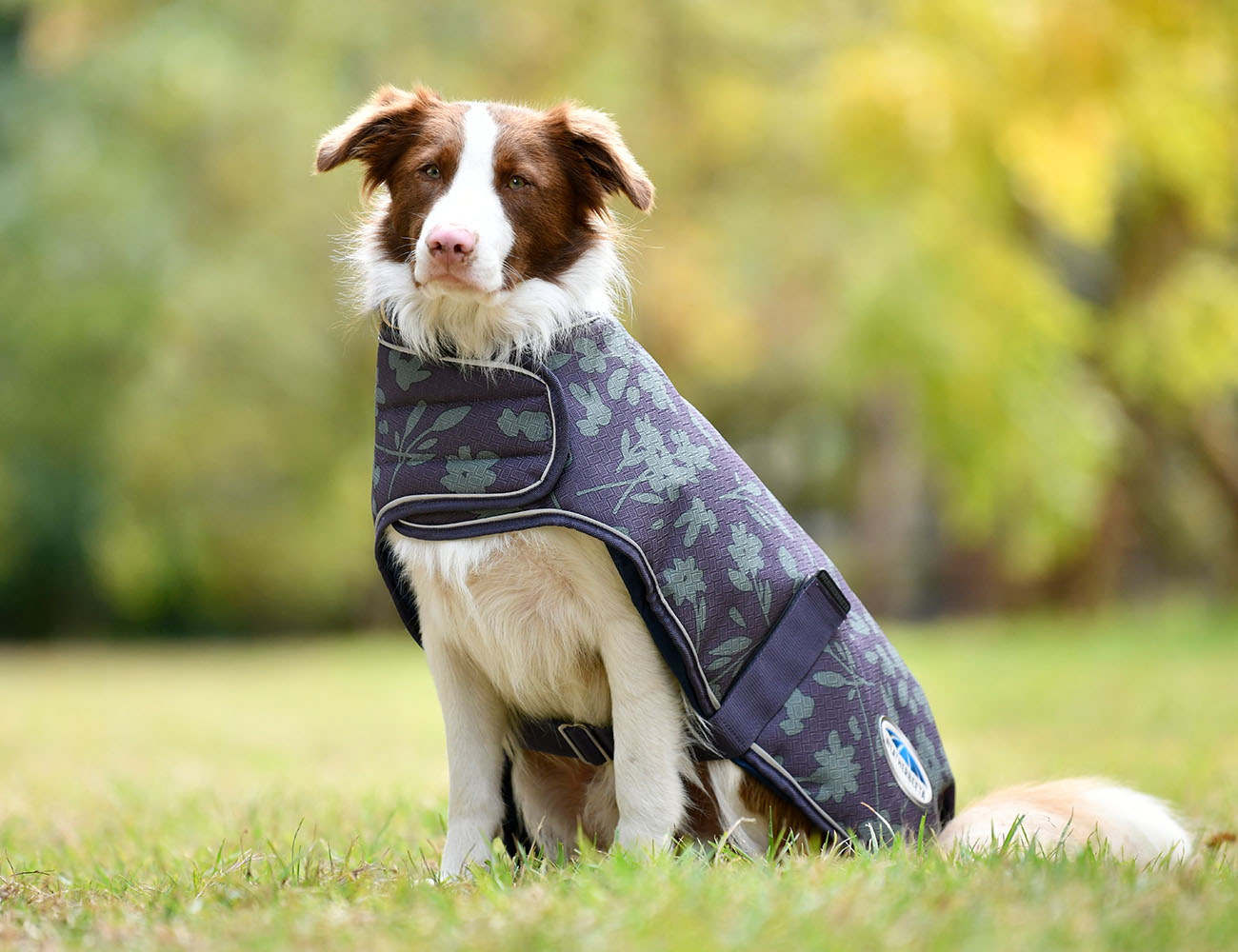 WeatherBeeta ComFiTec Premier Free Parka Dog Coat Medium