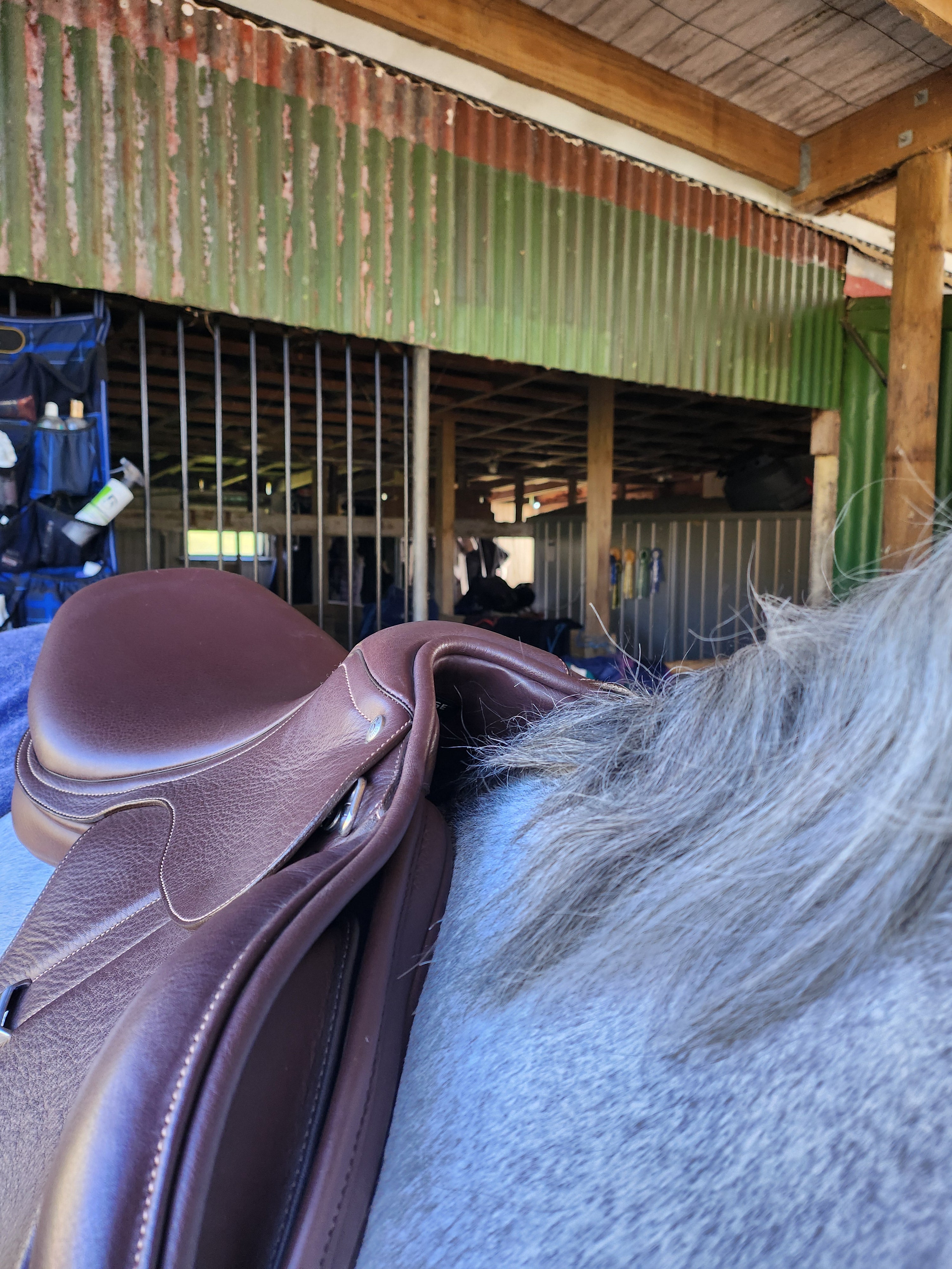 Bates Brown 17.5" Elevation Deep Seat Jump Saddle