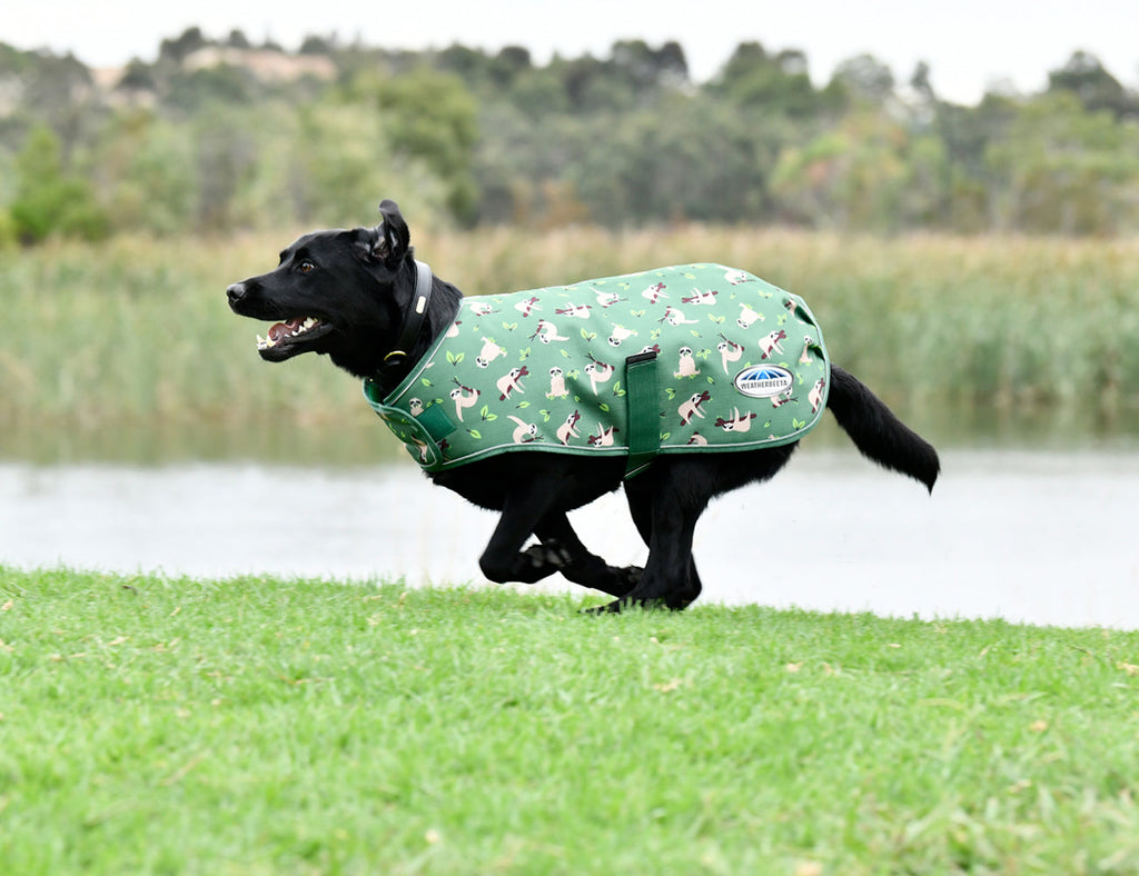 WeatherBeeta ComFiTec Premier Free Parka Dog Coat Medium