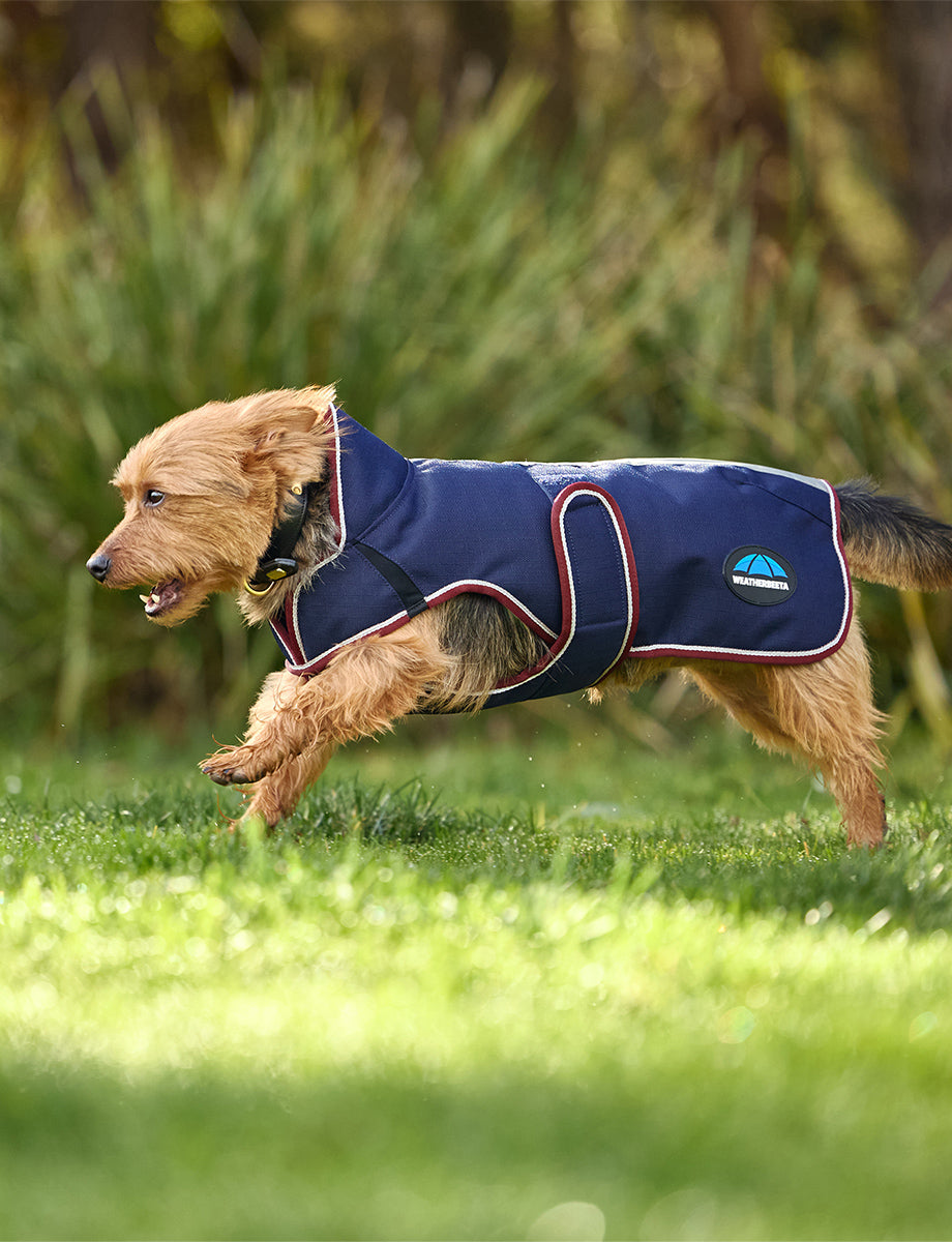 WeatherBeeta ComFiTec Premier Deluxe Waterproof Dog Coat