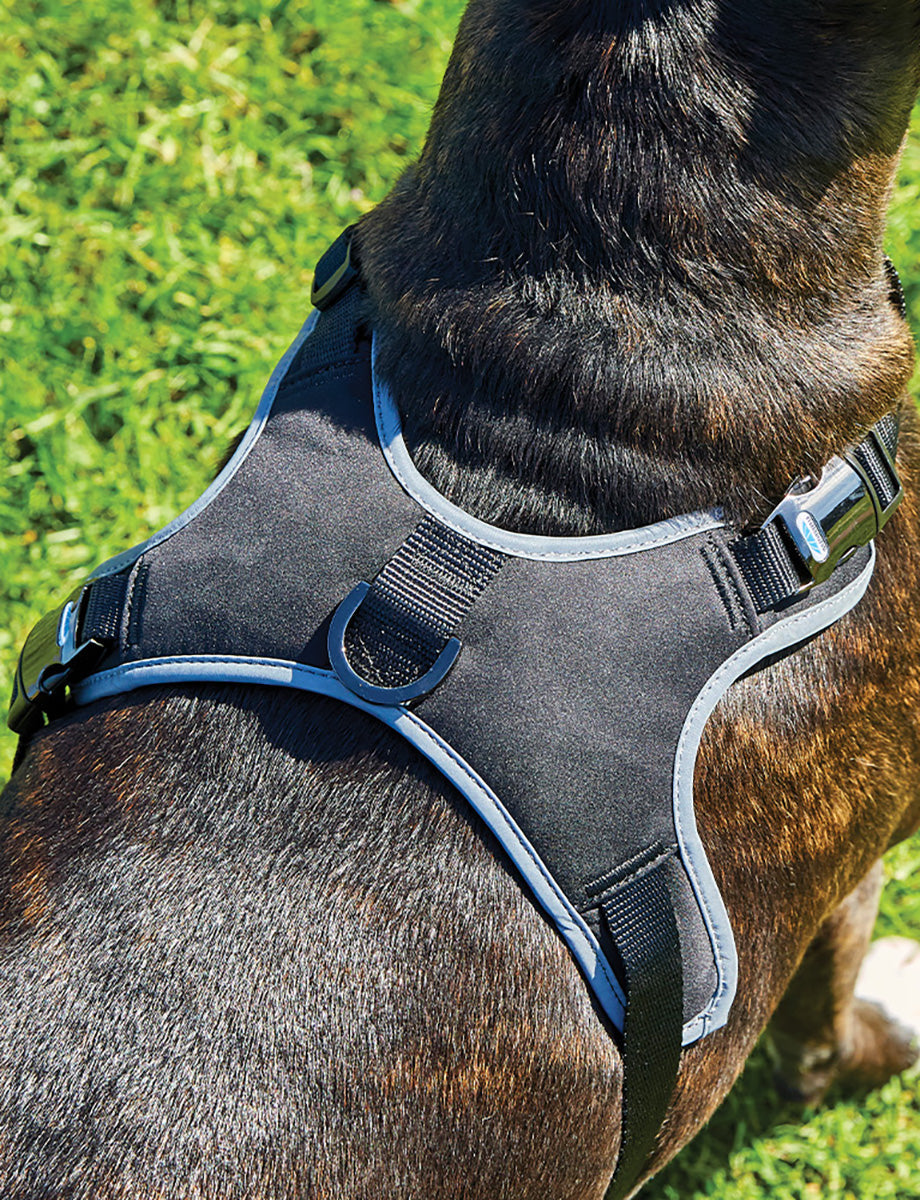 WeatherBeeta Elegance Dog Harness