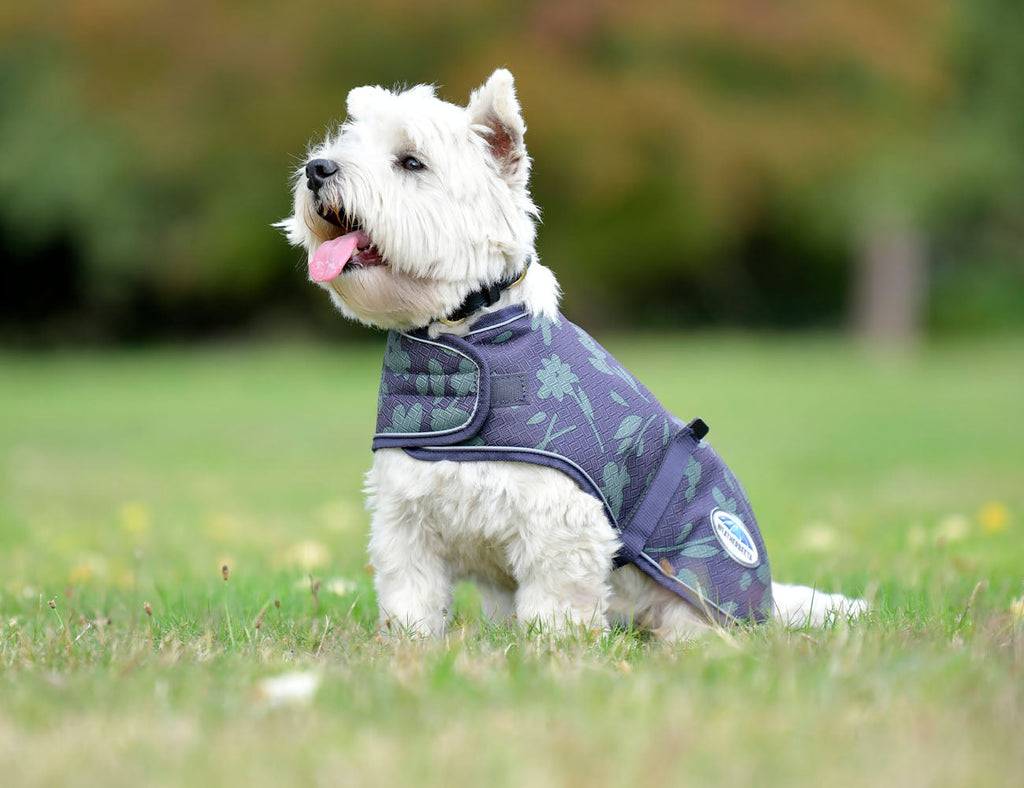 WeatherBeeta ComFiTec Premier Free Parka Dog Coat Medium