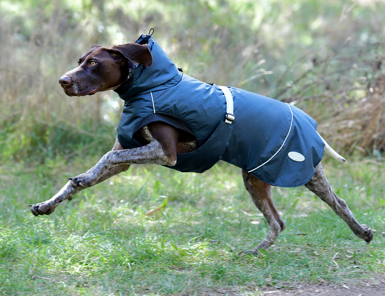 WeatherBeeta Explorer Medium Dog Coat
