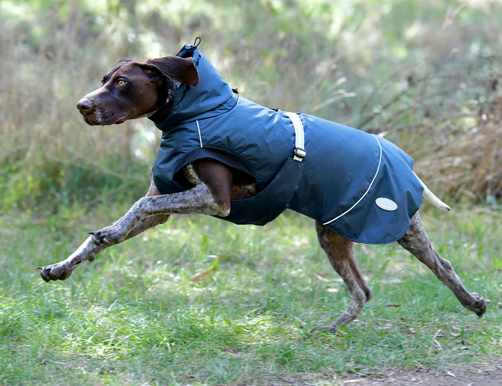 WeatherBeeta Explorer Medium Dog Coat