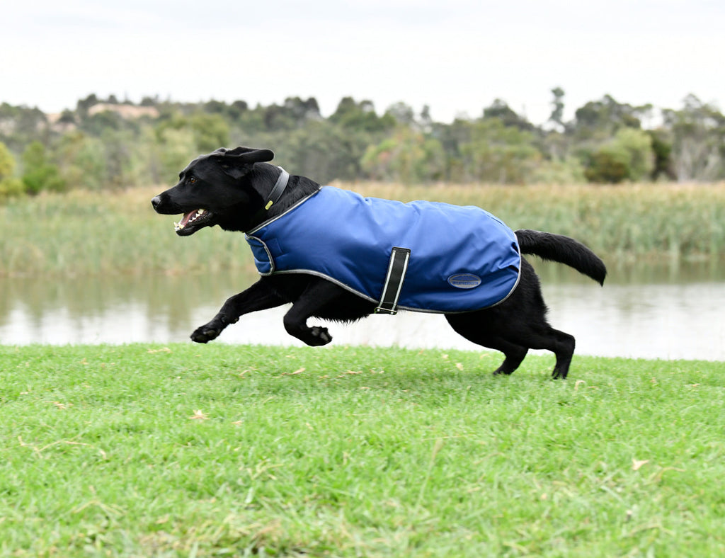 WeatherBeeta ComFiTec Windbreaker Free Dog Coat