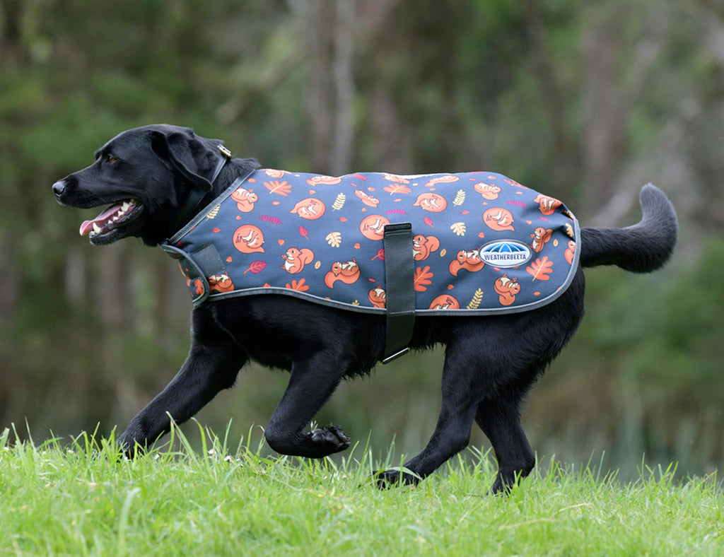 WeatherBeeta ComFiTec Premier Free Parka Dog Coat Medium