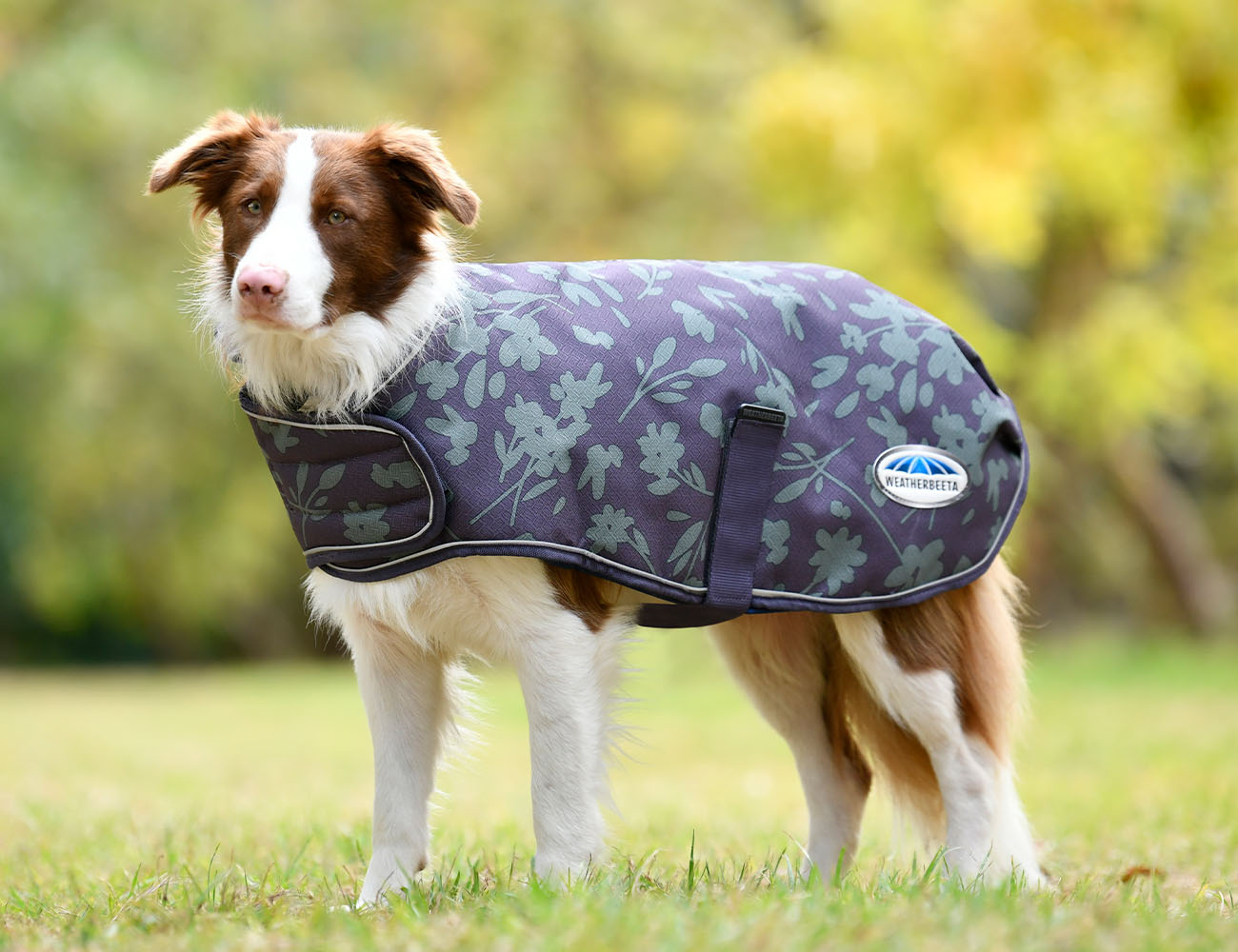 WeatherBeeta ComFiTec Premier Free Parka Dog Coat Medium