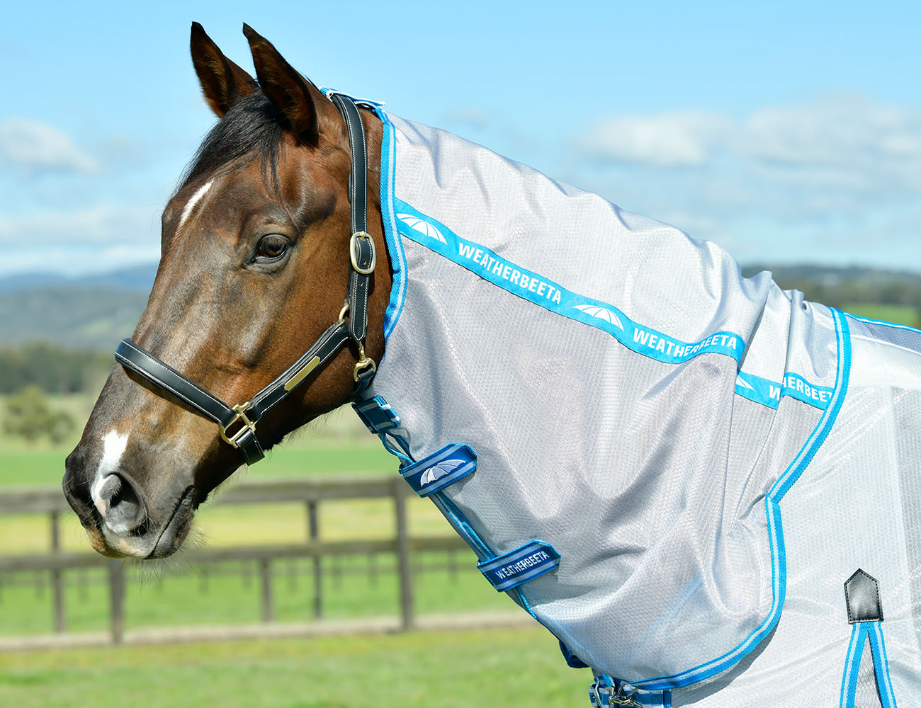 WeatherBeeta ComFiTec Hexi Shield Combo Neck