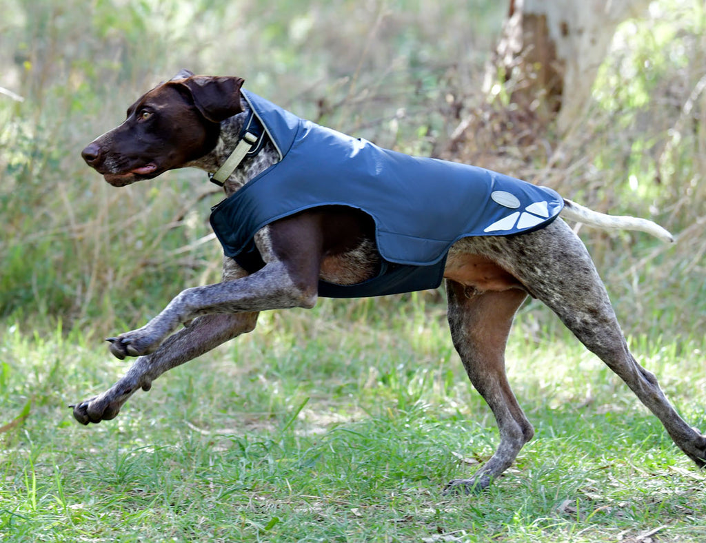WeatherBeeta Explorer Lite Dog Coat