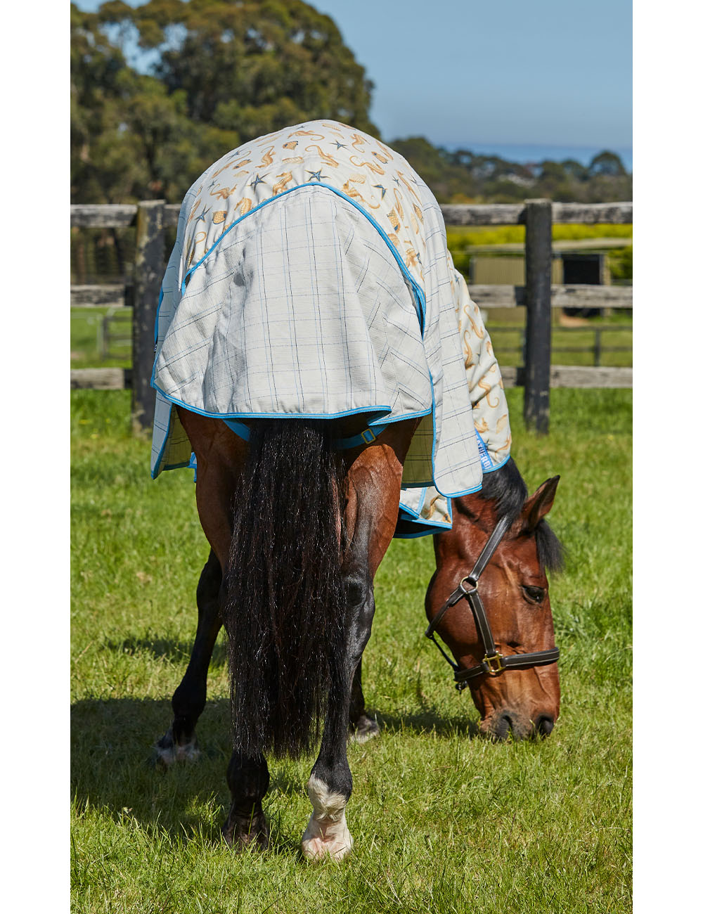 WeatherBeeta Cotton Summer Sheet Combo Neck