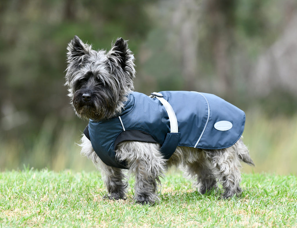 WeatherBeeta Explorer Medium Dog Coat