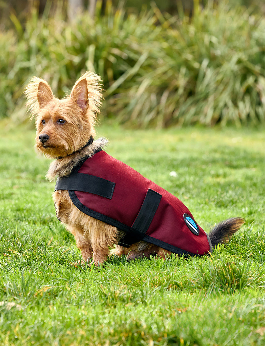 WeatherBeeta ComFiTec Classic Waterproof Dog Coat