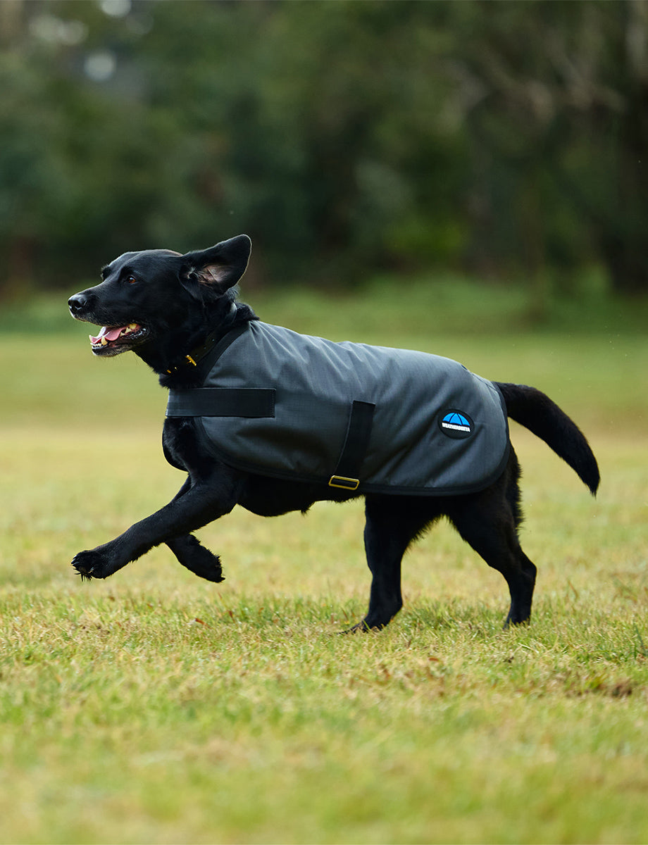 WeatherBeeta ComFiTec Classic Waterproof Dog Coat