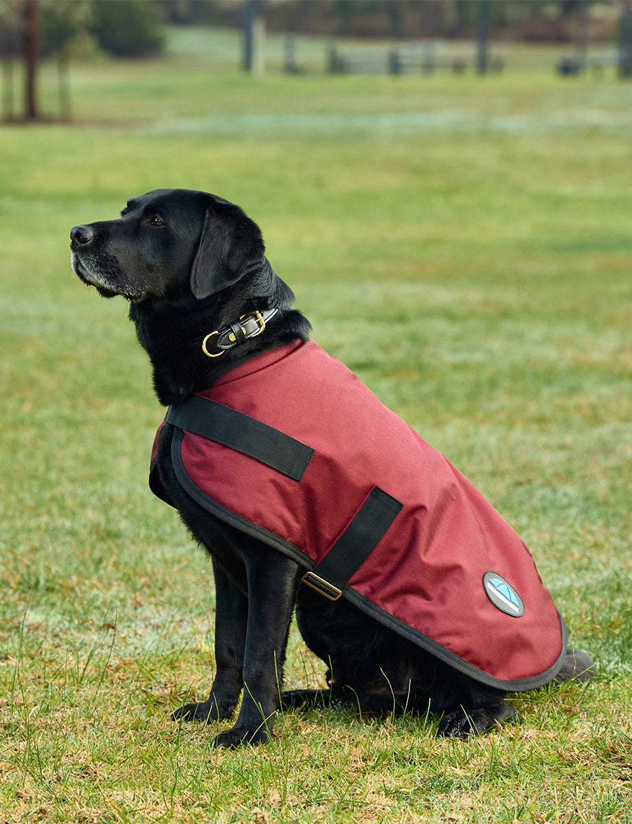 WeatherBeeta ComFiTec Classic Waterproof Dog Coat