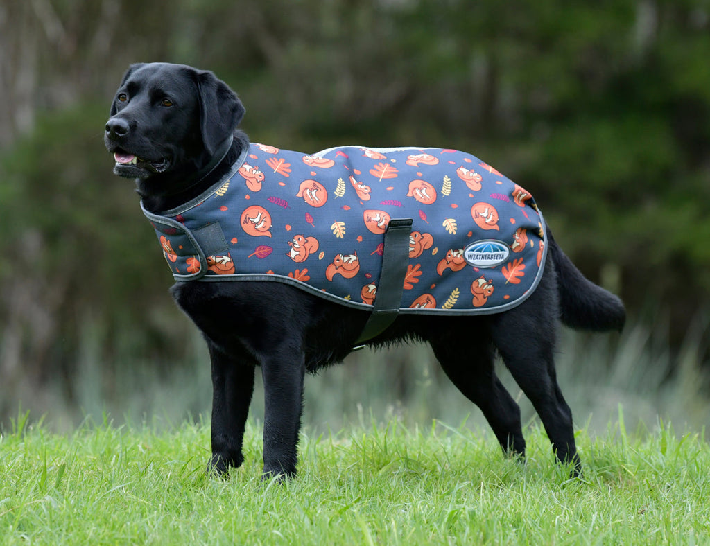 WeatherBeeta ComFiTec Premier Free Parka Dog Coat Medium