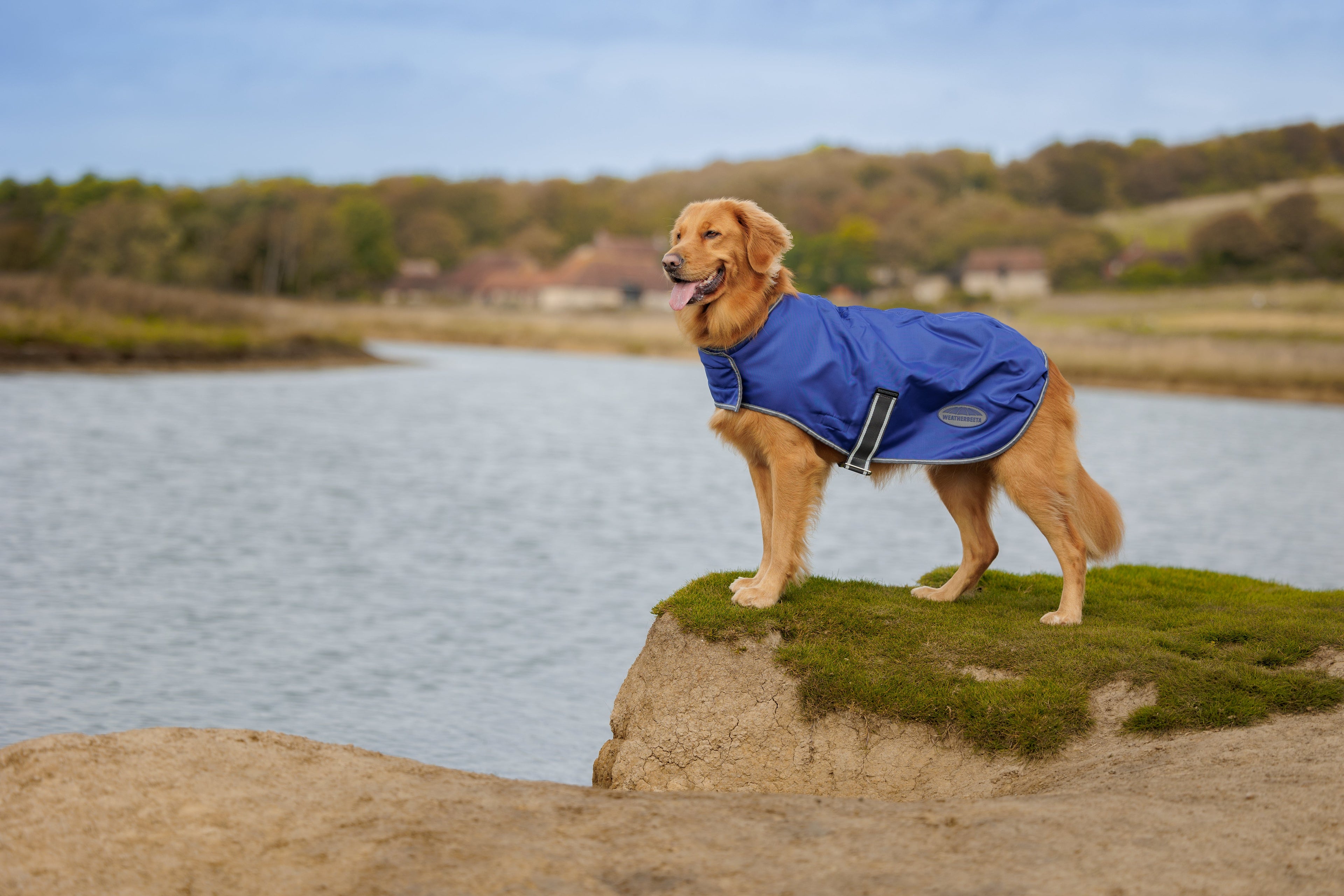 WeatherBeeta ComFiTec Windbreaker Free Dog Coat