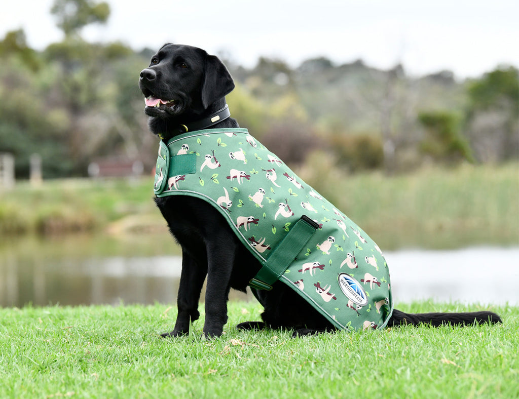 WeatherBeeta ComFiTec Premier Free Parka Dog Coat Medium