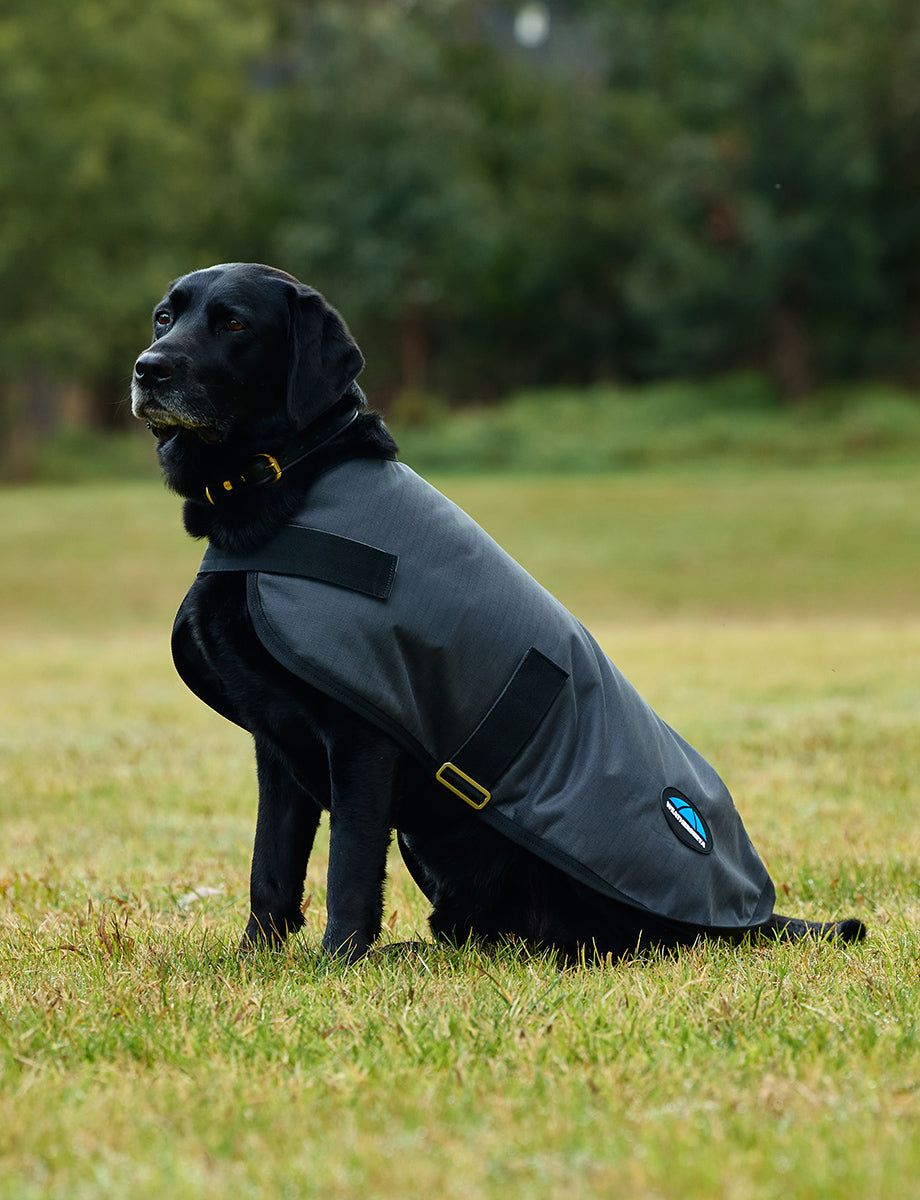 WeatherBeeta ComFiTec Classic Waterproof Dog Coat